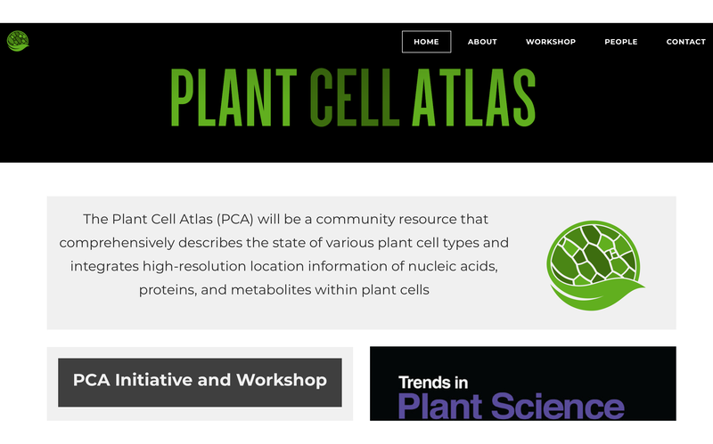 plant cell atlas
